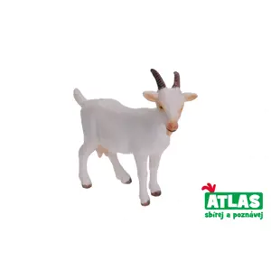 Produkt Atlas B Koza 8 cm