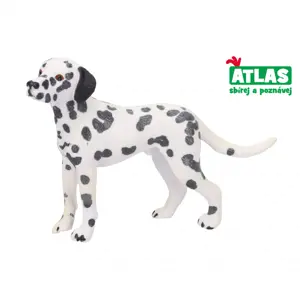 Atlas B Pes Dalmatin 10,5 cm