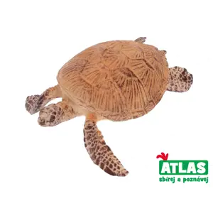 Produkt Atlas B Želva 8 cm