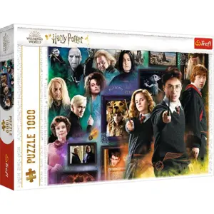 Puzzle 1000 dílků Kouzelnický svět. Harry Potter 10668 Trefl