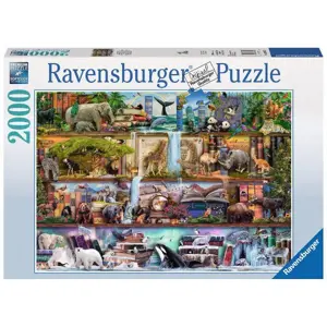 Puzzle 2000 dílků Království divokých zvířat