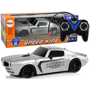 R/C Sports Car 1:18 Silver Champion Pilot