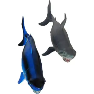 Rappa žralok 34 cm