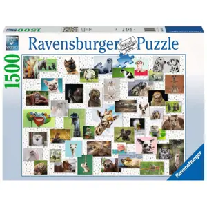 Produkt RAVENSBURGER Koláž se zvířecími ksichtíky 1500 dílků