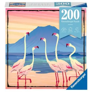 Ravensburger: Puzzle 200 ks - Moment 4