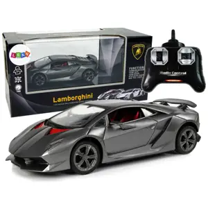 RC Sportovní vůz 1:24 Lamborghini stříbrná