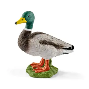 Schleich 13824 Kačer