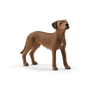 Schleich 13895 Farm World Rhodesian Ridgeback