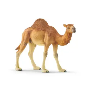 Schleich 14832 Wild Life Dromedary