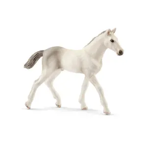 Schleich holštýnské hříbě