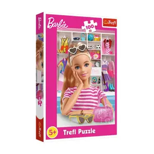 Produkt Trefl Barbie: Seznamte se s Barbie 100 dílků