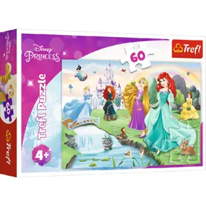 TREFL Seznamte se s Disney princeznami 60 dílků