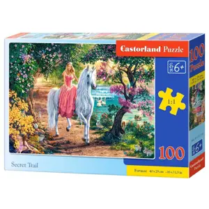 mamido Puzzle 100 dílků Tajná stezka jednorožec princezna