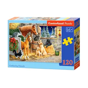 Produkt mamido Puzzle 120 dílků Setkání přátel