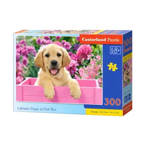 Produkt mamido Puzzle 300 dílků labrador štěně v růžové krabici