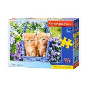 Produkt mamido Puzzle 70 dílků Zrzaví koťátka