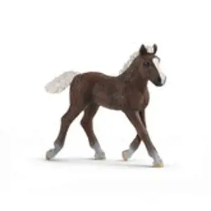 Schleich 13899 Zvířátko hříbě černé lesní