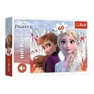Trefl Puzzle Ledové království II/Frozen II 60 dílků