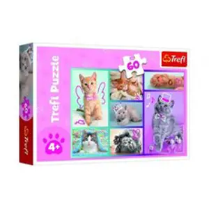 Trefl Puzzle Roztomilé kočky 33x22cm 60 dílků