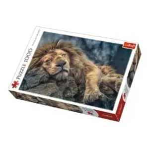 Produkt Trefl Puzzle Spící Lev 1000 dílků v krabici 40x27x6cm